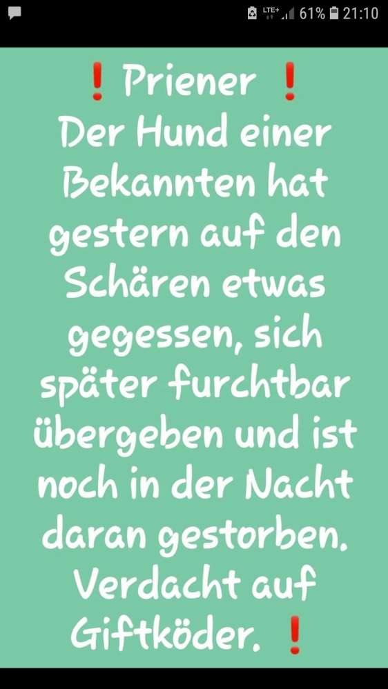 Giftköder-Giftköder-Profilbild