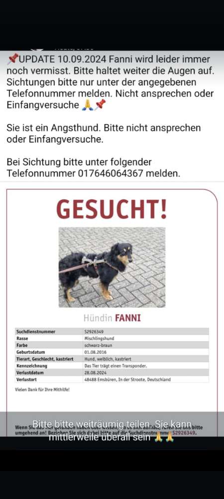 Suchmeldung-Fanni-Profilbild