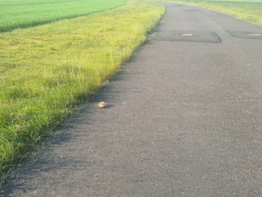 Giftköder-Essensreste-Profilbild