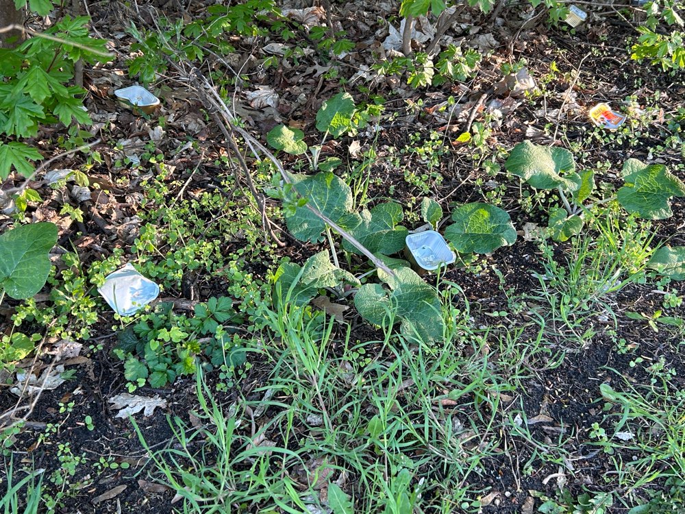 Giftköder-Giftköder im Buschkrugpark?-Profilbild