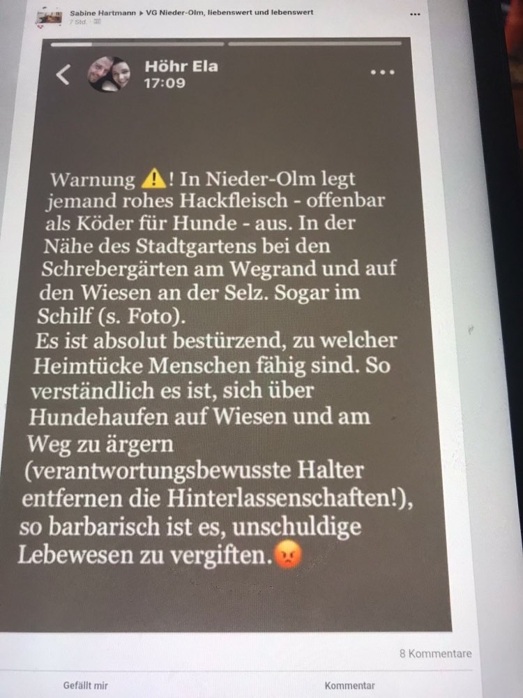 Giftköder-Hackfleisch im Schilf-Profilbild