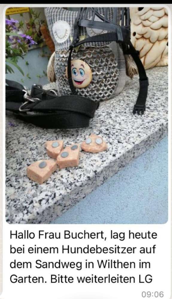 Giftköder-Wurst mit Nägeln gespickt-Profilbild