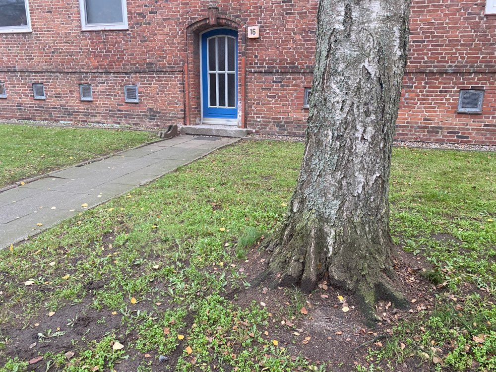 Giftköder-Nägel und Glasscherben verstreut-Profilbild