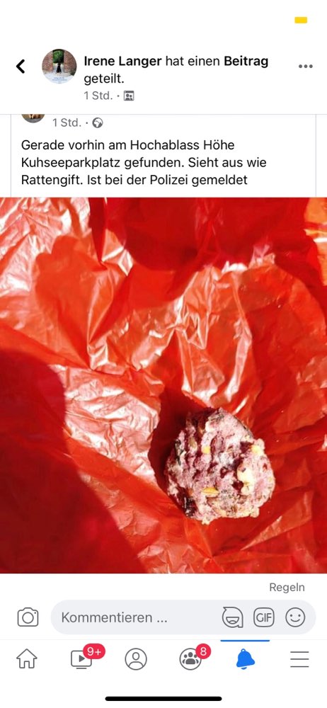 Giftköder-Rattengift-Profilbild