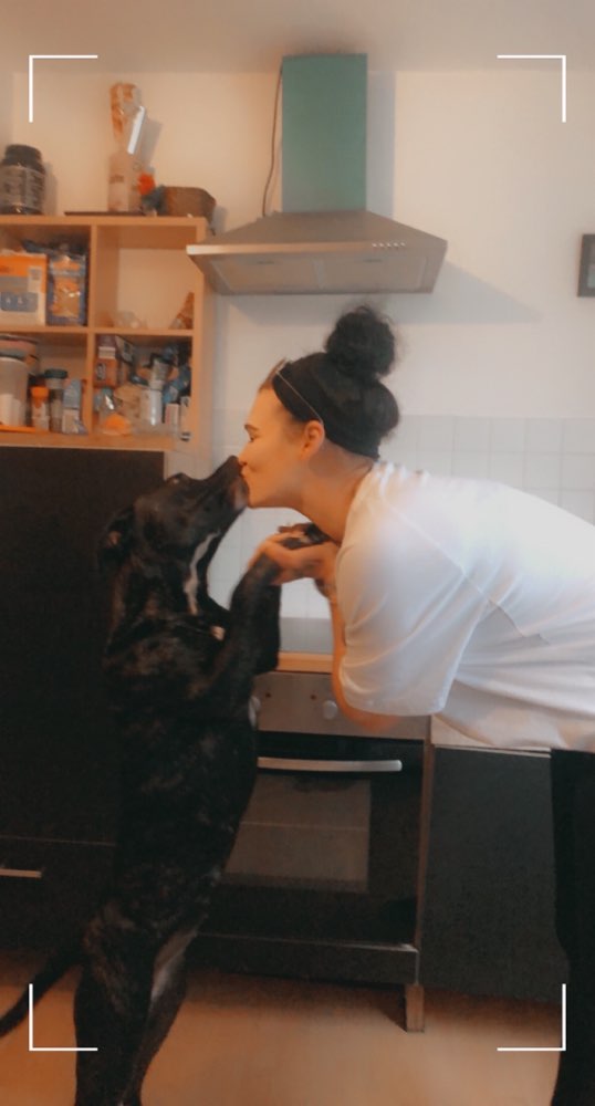 Hundetreffen-Junghunde & Co-Profilbild