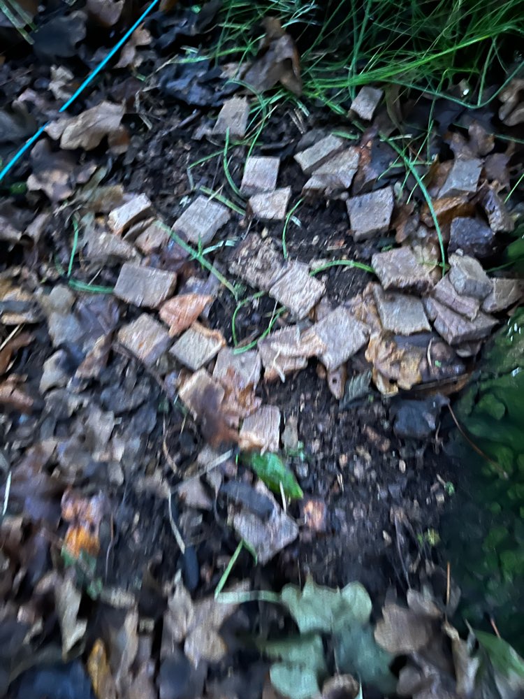 Giftköder-Fleischstücke im Gebüsch hinter Bank-Profilbild