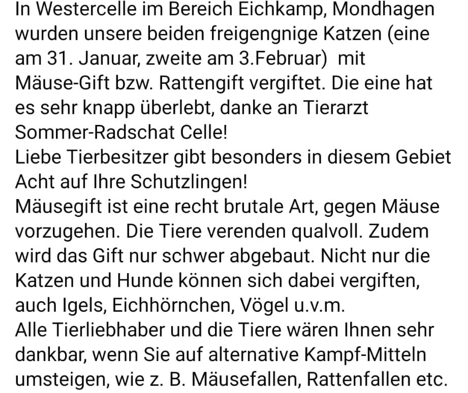 Giftköder-Rattengift-Profilbild