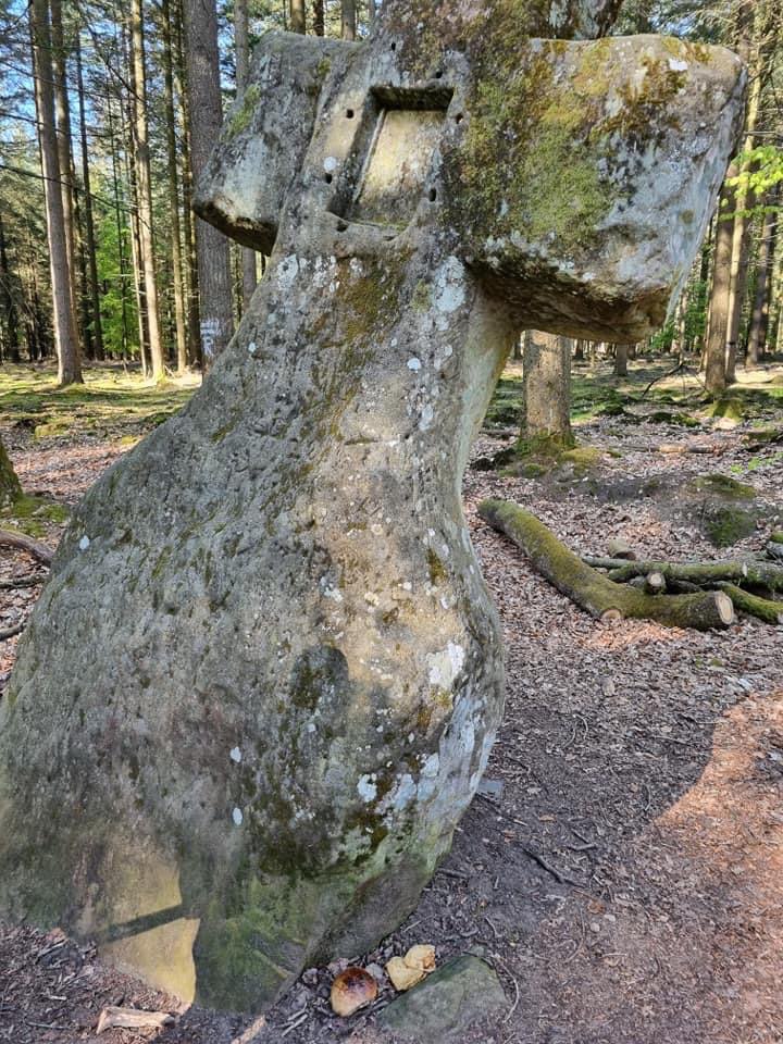Giftköder-Essen mit Nägel-Profilbild