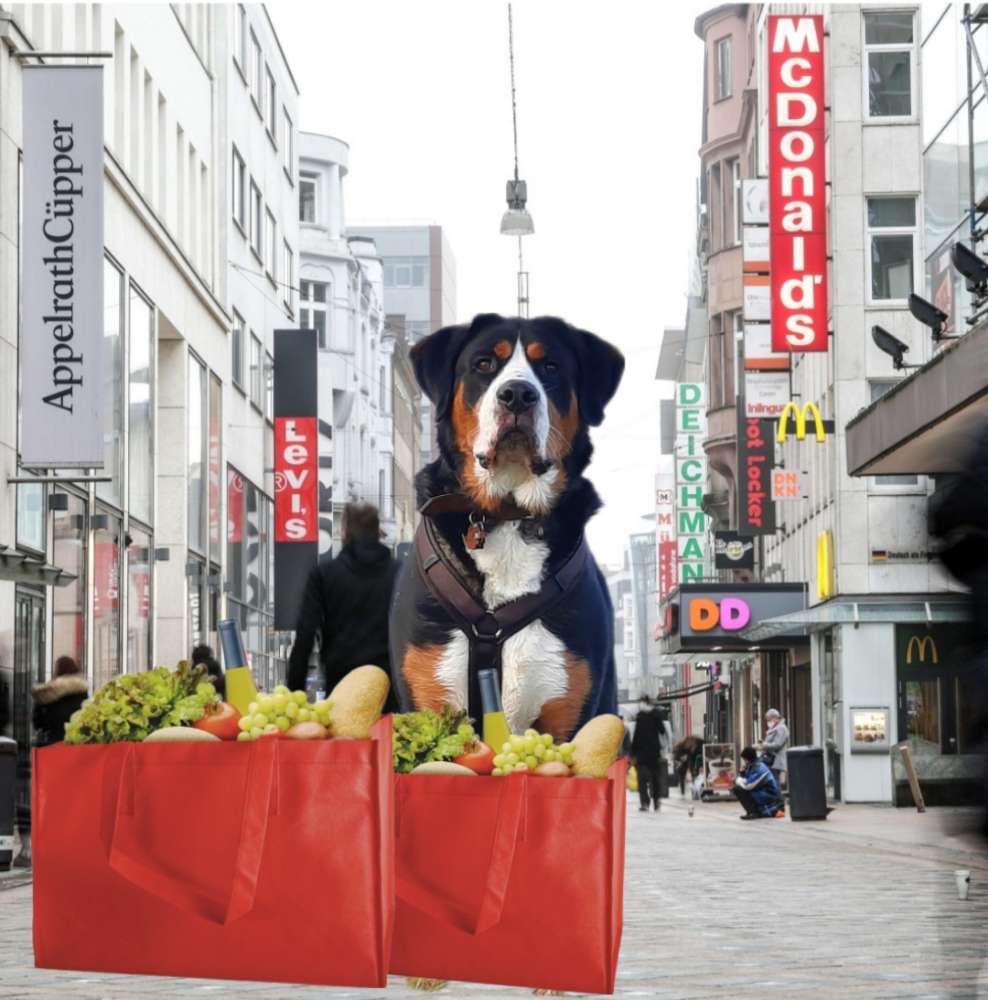 21. Fotomontage-Challenge ohne KI: Dein Hund geht einkaufen Banner