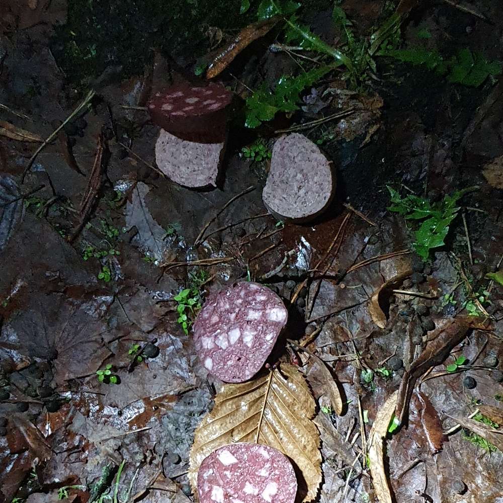 Giftköder-Eventuell Giftköder!!-Profilbild