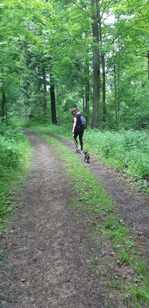 Hundetreffen-Ich und mein Hund Gismo suchen Gassigehkumpel im Raum Ludwigshafen.-Profilbild