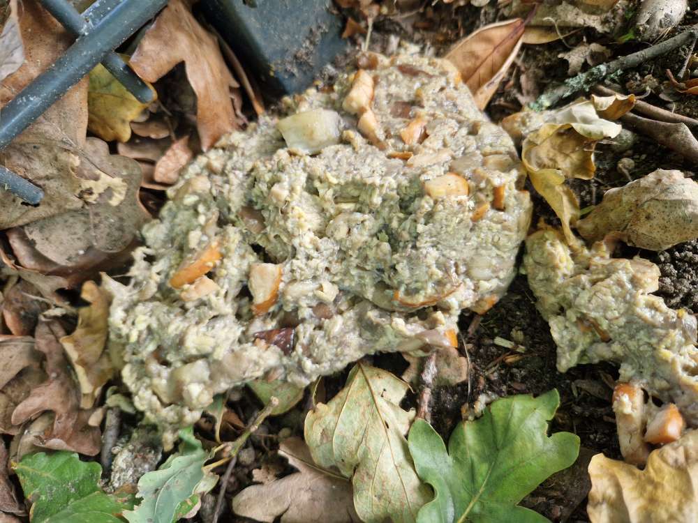 Giftköder-Giftköder-Profilbild