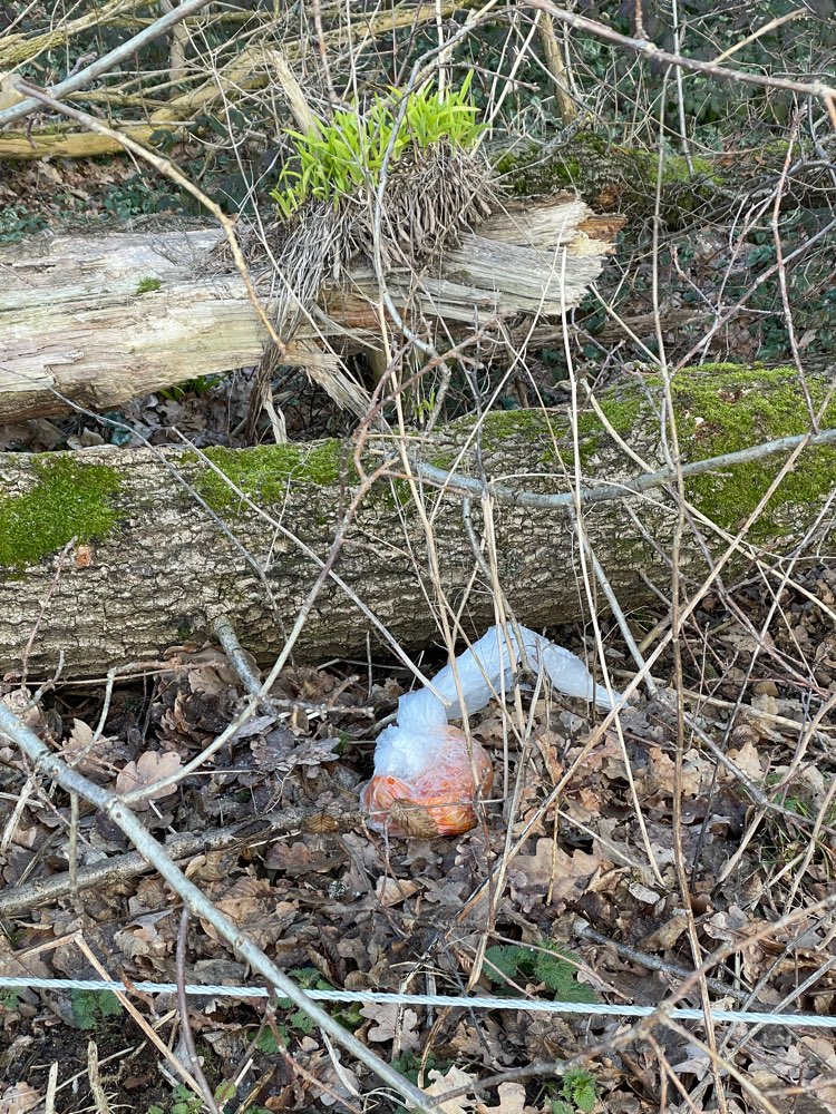 Giftköder-Giftköder-Profilbild