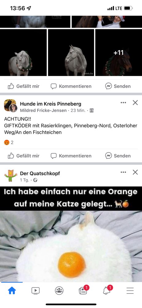 Giftköder-Giftköder mit Rasierklingen-Profilbild
