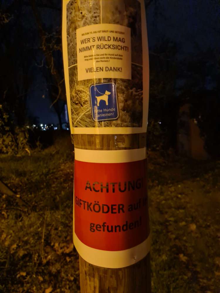 Giftköder-Giftköder-Profilbild