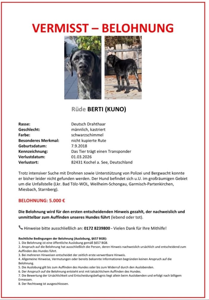 Suchmeldung-Berti-Profilbild