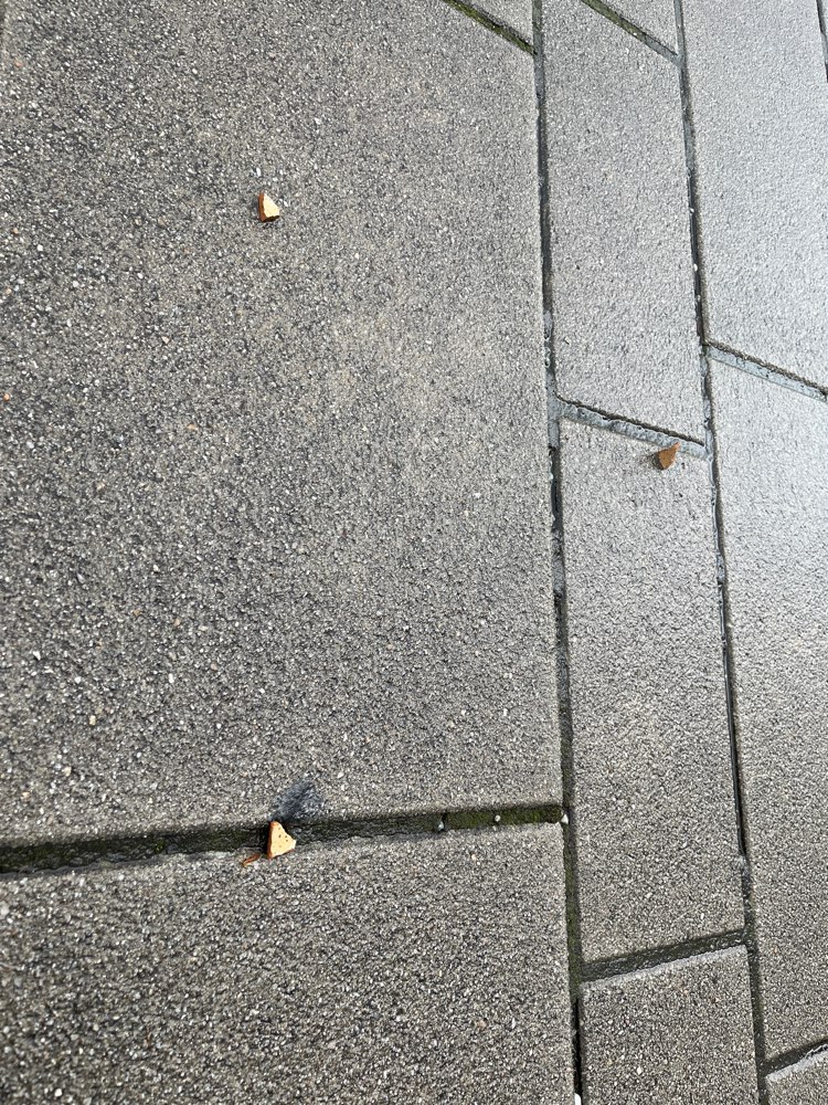 Giftköder-Klein Geschnittene Würstchen-Profilbild