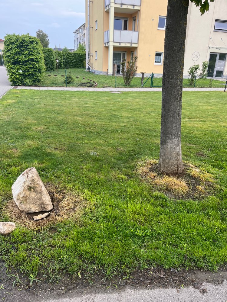 Giftköder-Gekochtes Hühnchen mit Knochen-Profilbild