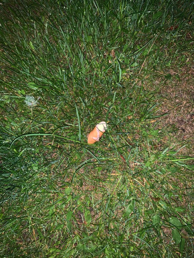 Giftköder-Wiener Würstchen Ruhlsdorfer Straße-Profilbild