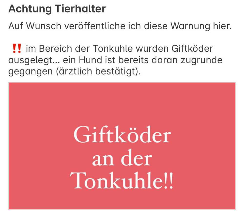 Giftköder-Rattengift-Profilbild