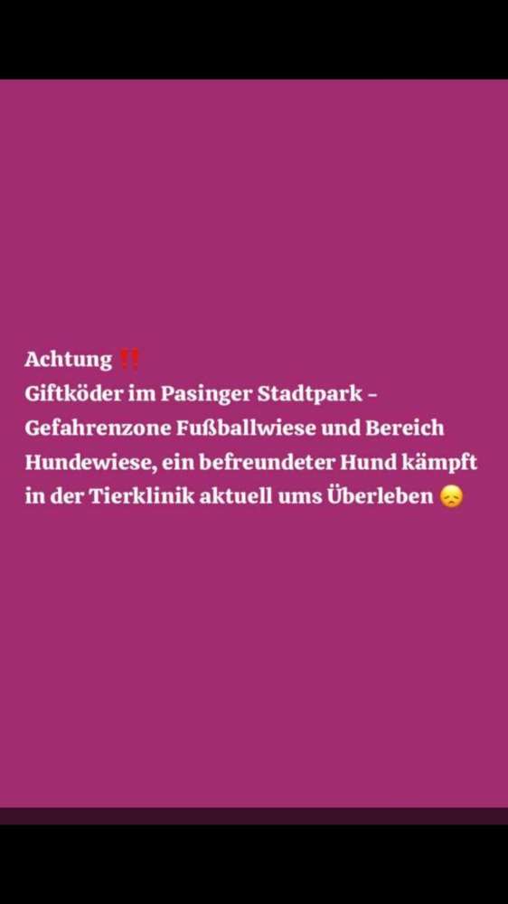 Giftköder-Giftköder-Profilbild