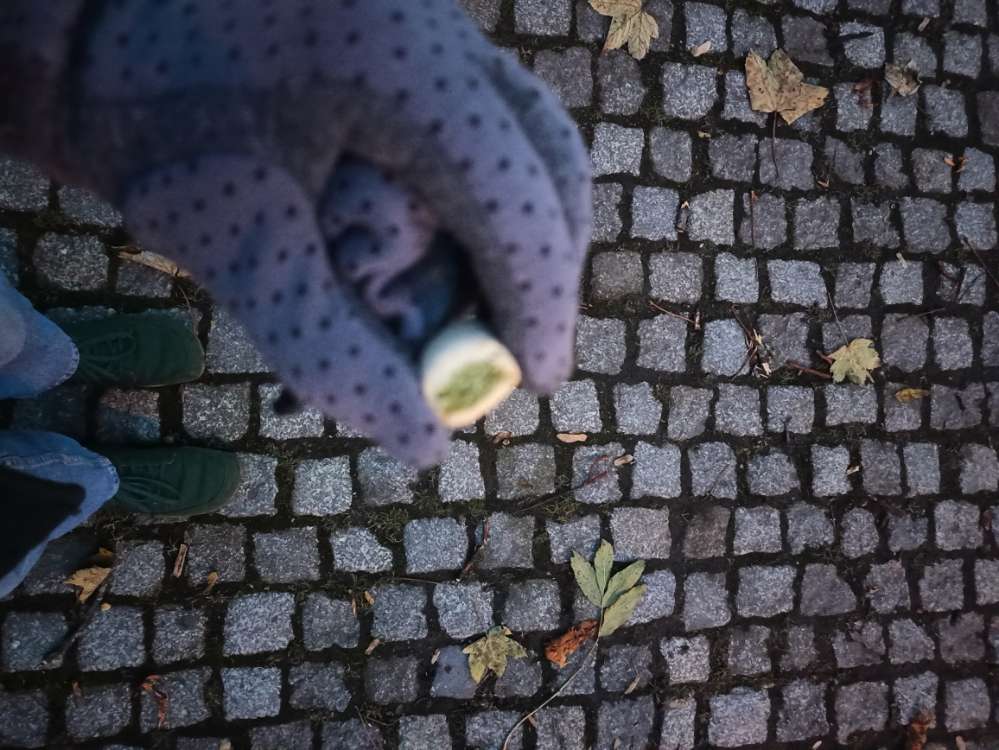 Giftköder-Mögliche Giftköder-Profilbild