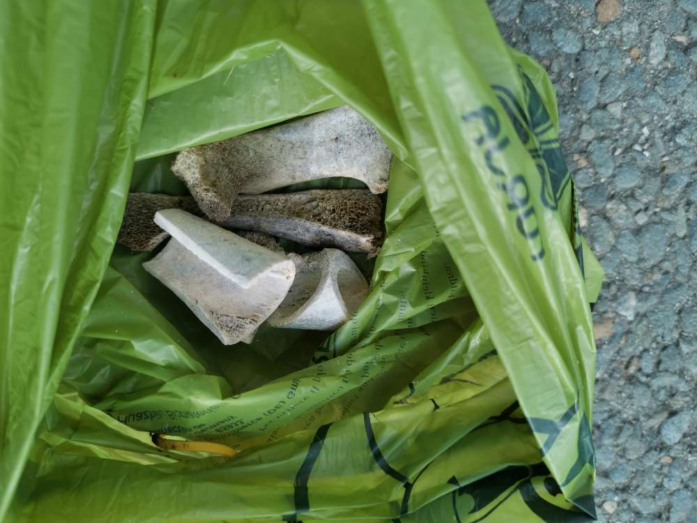 Giftköder-Knochenteile scheinbar präpariert-Profilbild