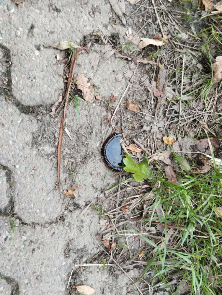 Giftköder-Kaputte Kombracher Glasflasche-Profilbild