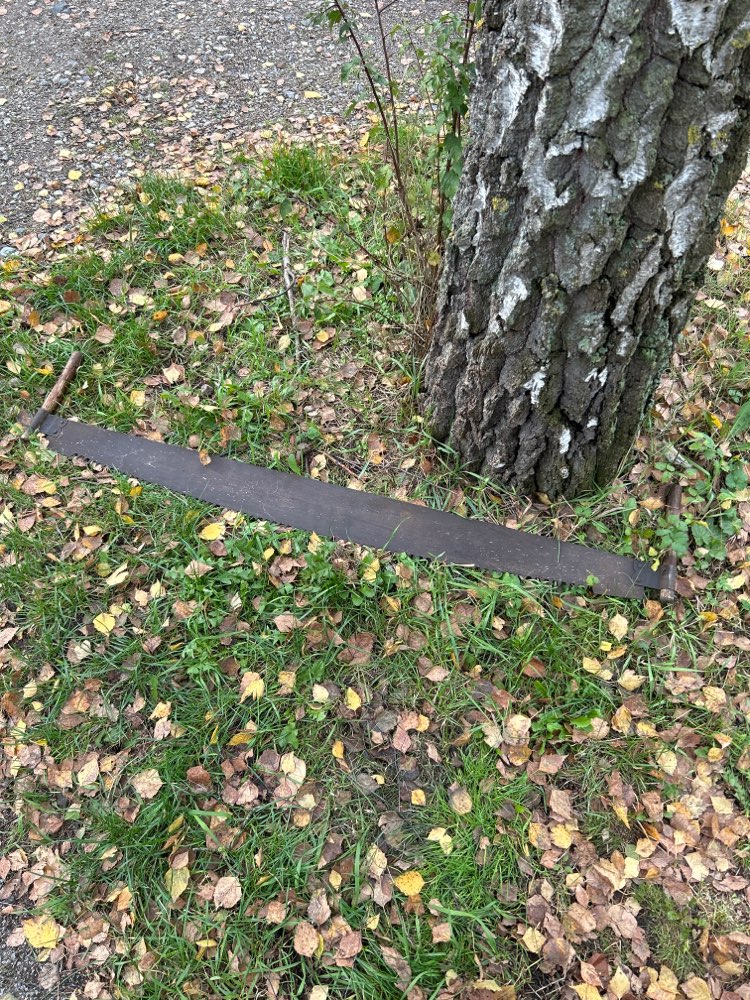 Giftköder-Alte rostige Säge-Profilbild