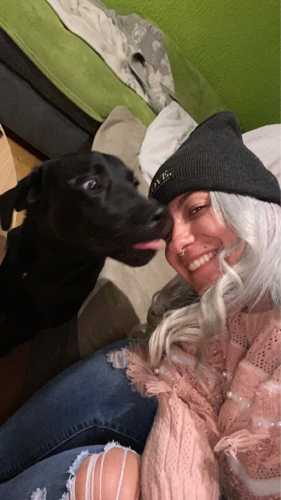 Hundetreffen-Treffen für Gassi oder Spielen-Profilbild