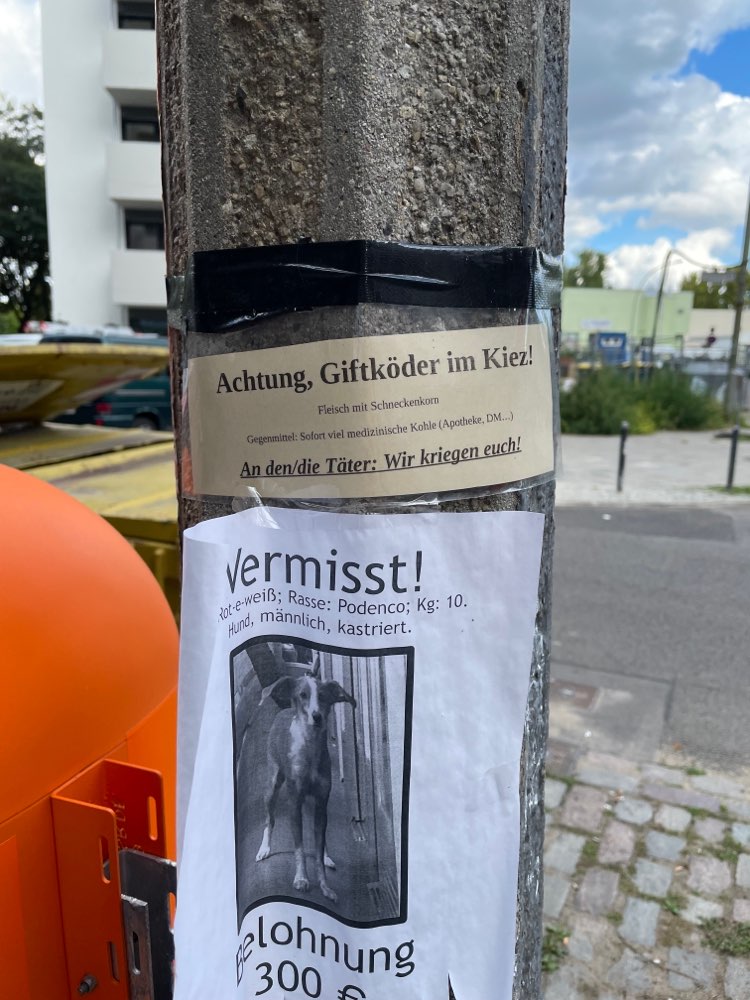 Giftköder-Giftköder-Profilbild