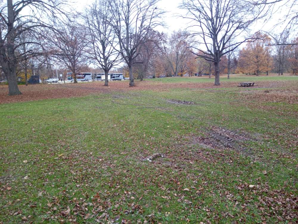 Giftköder-Totes Kanninchen - wurde beseitigt-Profilbild