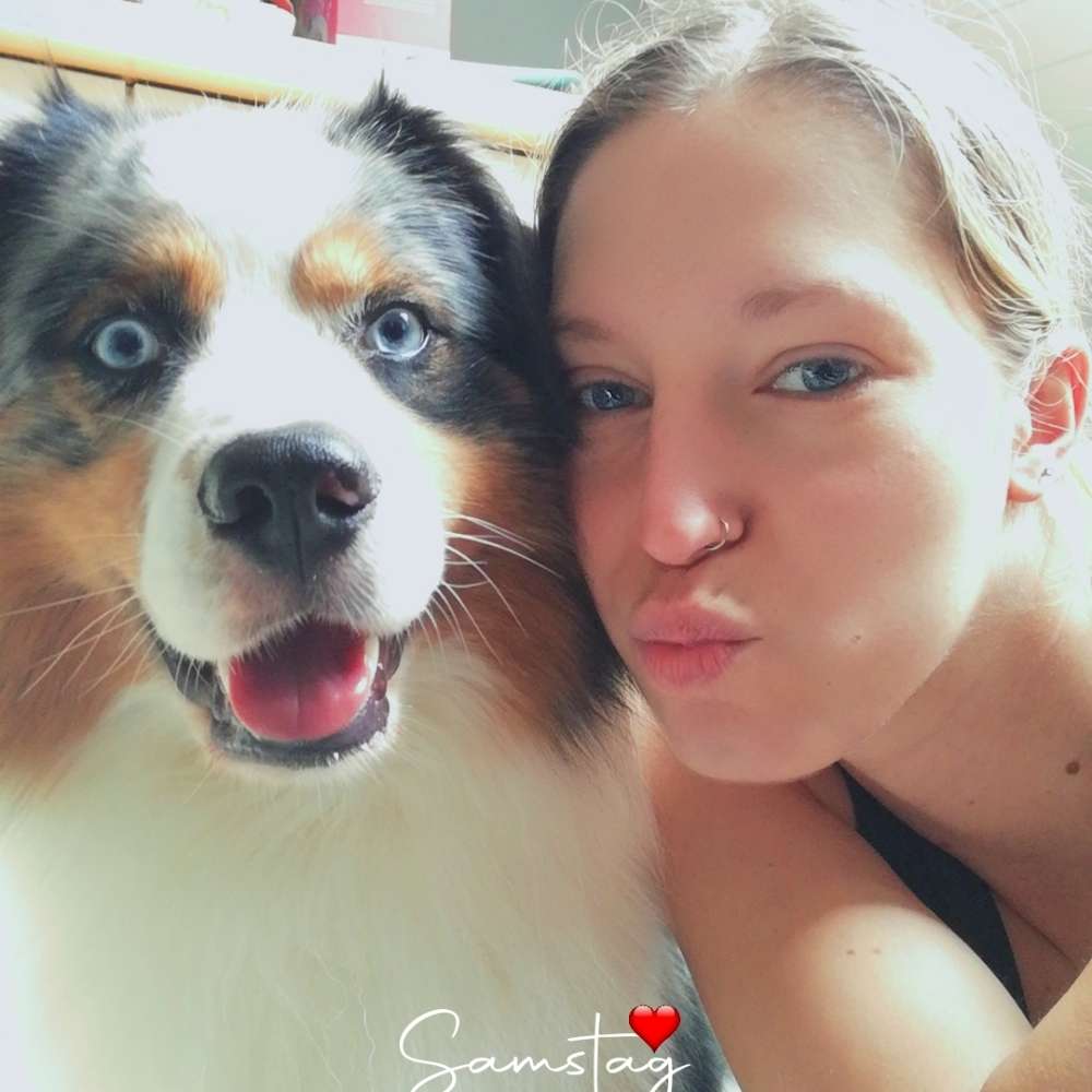 Hundetreffen-Suchen neue Hunde Freunde zum spazieren und spielen.-Profilbild