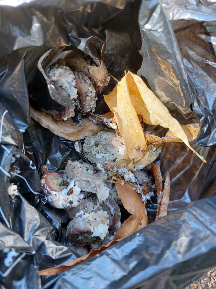 Giftköder-Evtl.Giftköder-Profilbild