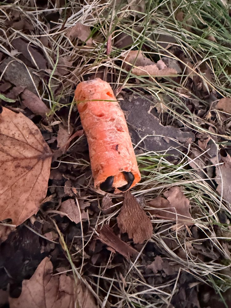 Giftköder-Köder mit Rattengift-Profilbild