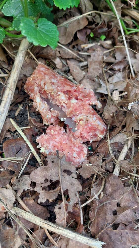 Giftköder-Wurst mit Rasierklinge-Profilbild