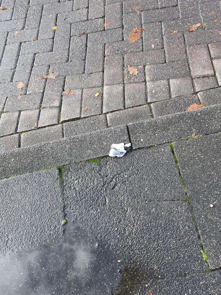 Giftköder-Vorsicht Fisch-Profilbild