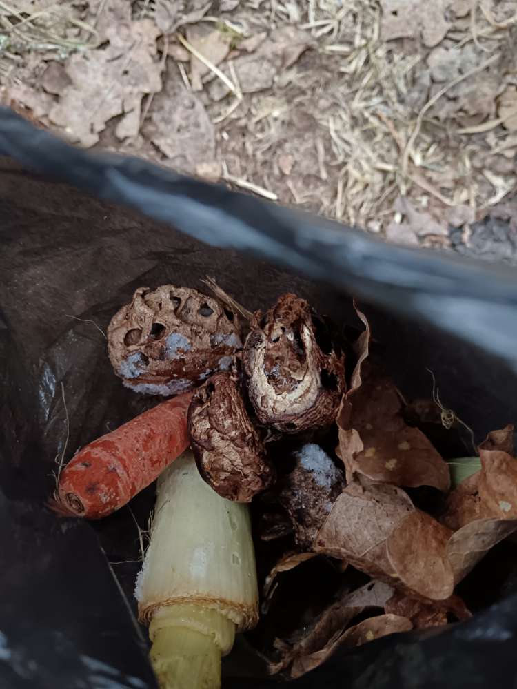 Giftköder-Gemüse am Wegesrand seit 25.12.23-Profilbild