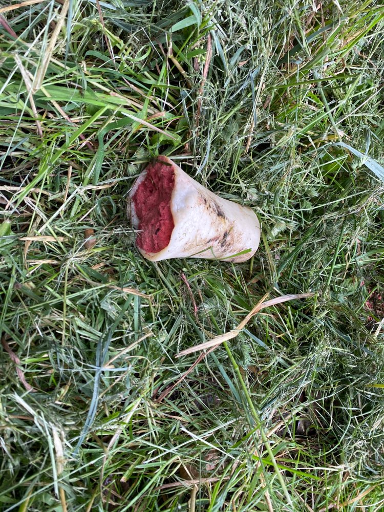 Giftköder-Vermutlich Giftköder-Profilbild