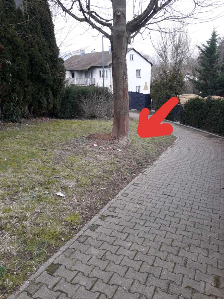 Giftköder-Hackfleisch-Profilbild