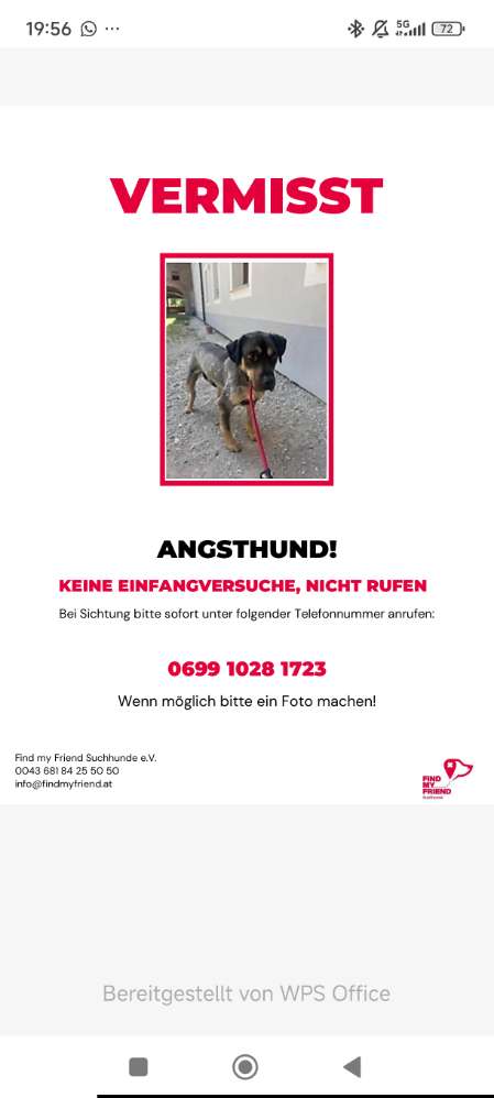 Suchmeldung-Tobi-Profilbild