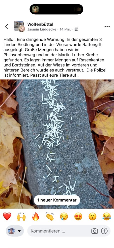 Giftköder-Rattengift 3 Linden Siedlung-Profilbild