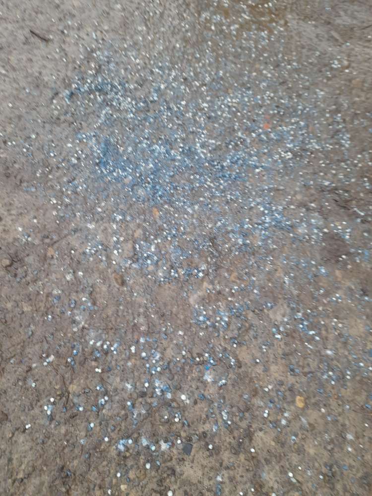 Giftköder-Schneckenkorn/Dünger-Profilbild