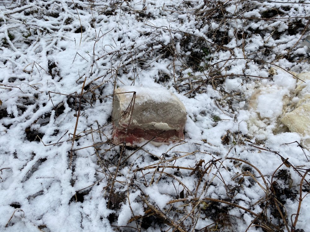 Giftköder-Achtung Fleischstücke-Profilbild