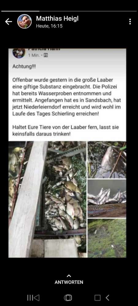 Giftköder-Entwarnung            Gift in der Laaber-Profilbild
