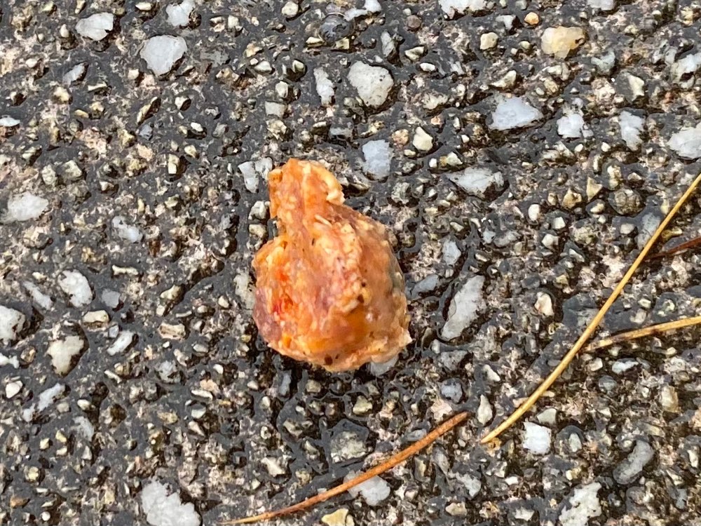 Giftköder-Wurststücke im Sheridan Park-Profilbild