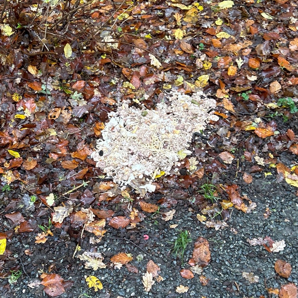 Giftköder-Essensreste-Profilbild