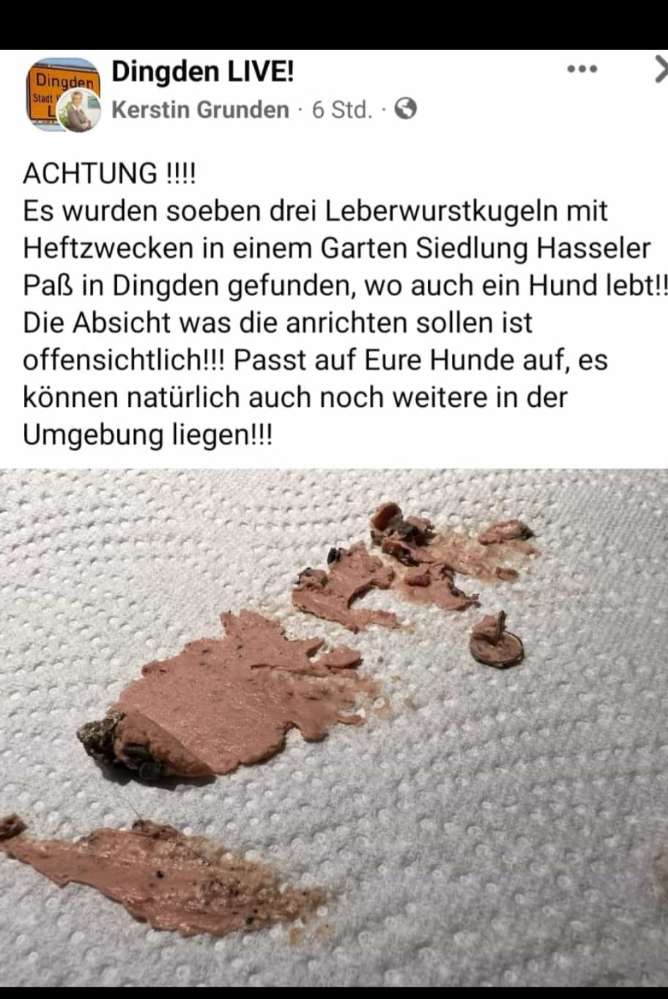 Giftköder-Leberwurst mit Heftzwecken-Profilbild