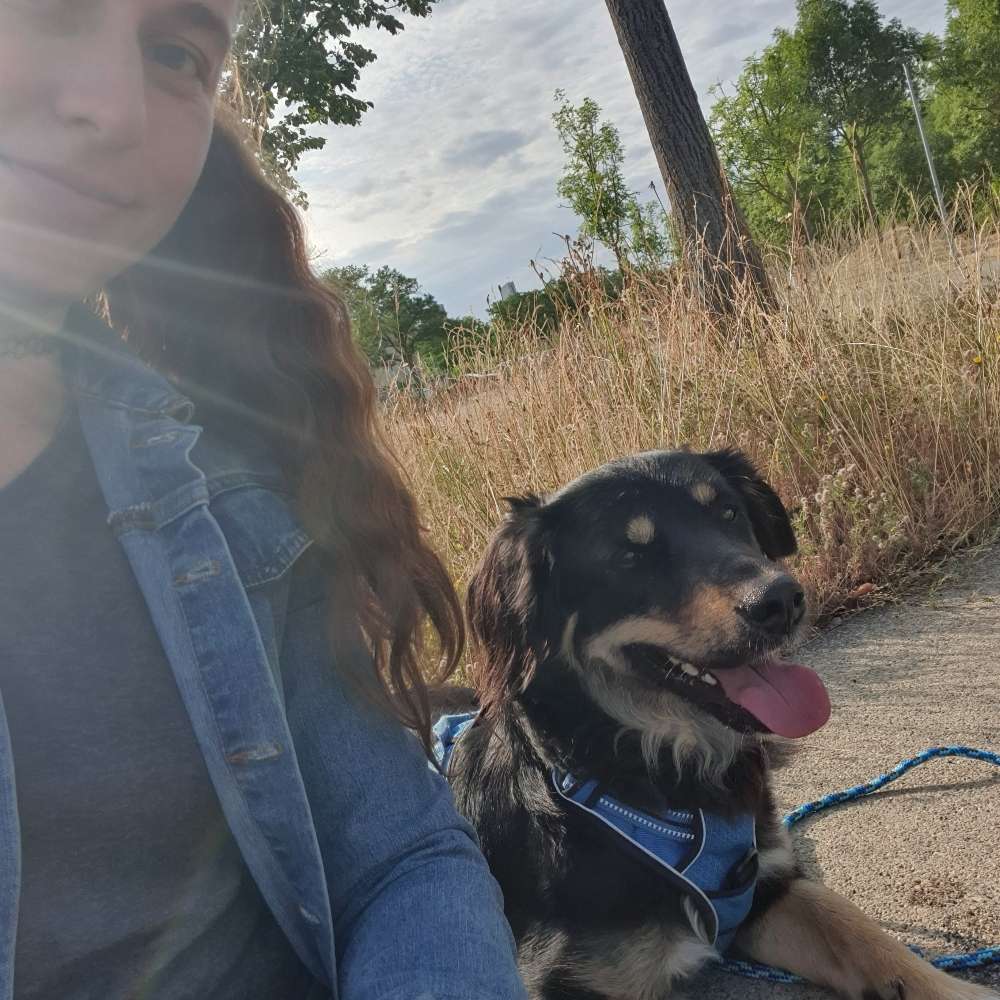 Hundetreffen-Treffen für Spaziergang-Profilbild