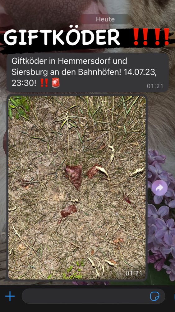 Giftköder-Giftköder im Raum Rehlingen-Siersburg-Profilbild